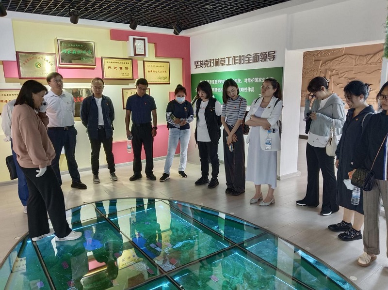 1686559564785572.jpg 图片33.jpg