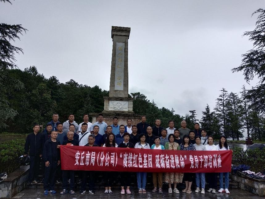 1691391596142408.jpg 11.jpg